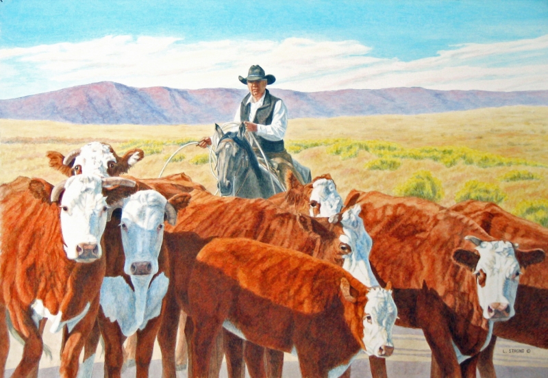  Moving the Herefords