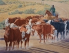 Herding Cattle