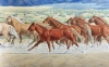 Wild Horses Running